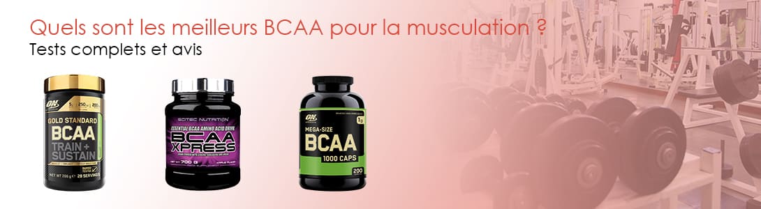 les bcaa en musculation