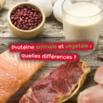 Protéine animale et végétale quelles différences