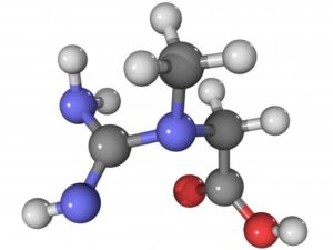 molécule créatine