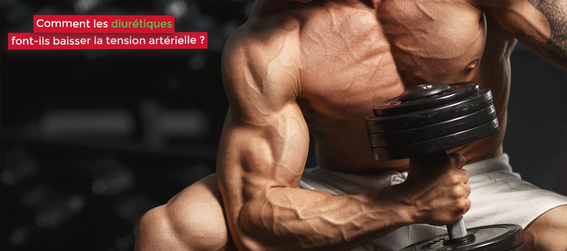 Musculation Et Hypertension Baissez Votre Tension Avec Les