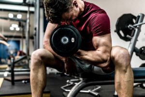 séance musculation full body