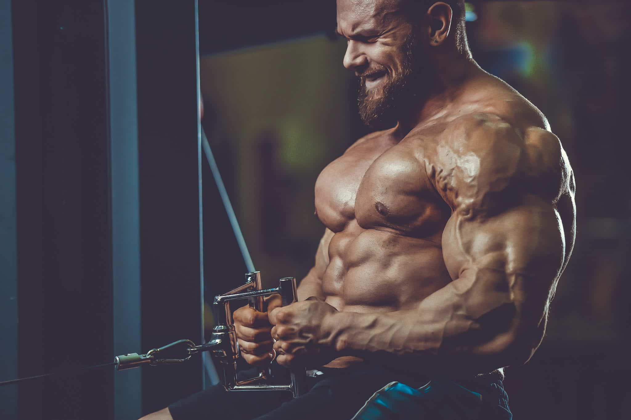 25 questions que vous devez poser sur anabolisant steroide