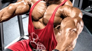 stéroïdes anabolisants muscuation