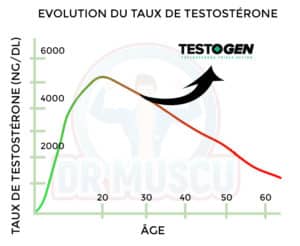 augmentation taux testostérone testogen
