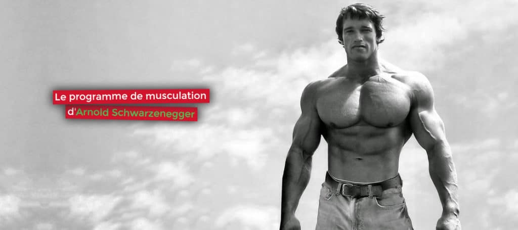 Le programme de musculation d'Arnold Schwarzenegger