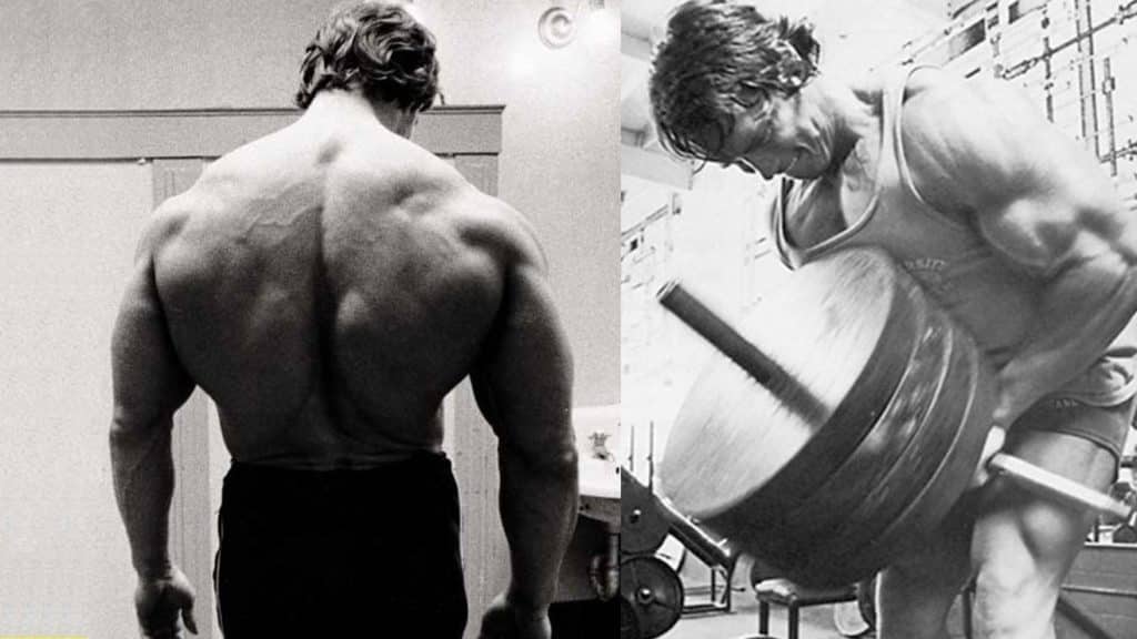 programme musculation dos Arnold Schwarzenegger