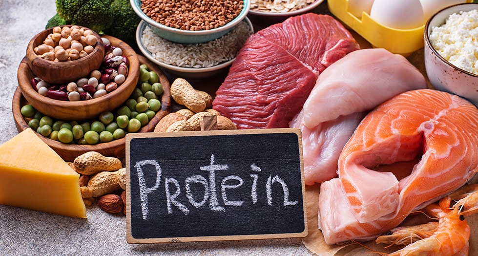 quelle quantité de protéine par jour pour se muscler