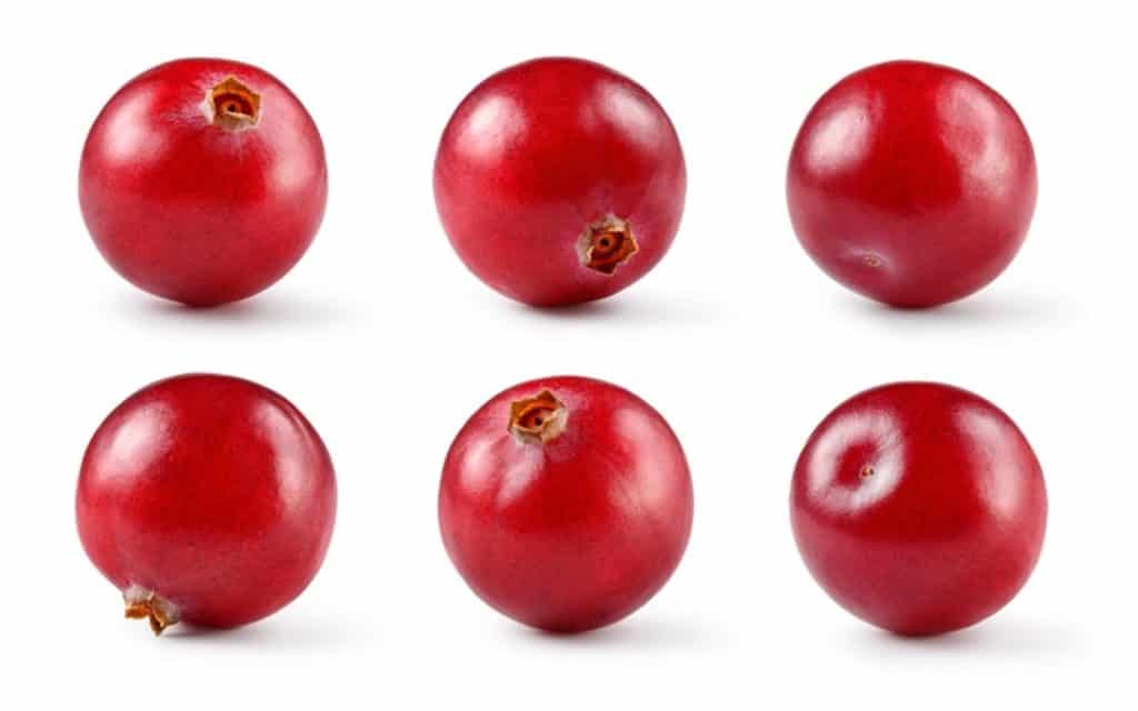 bienfaits du cranberry santé