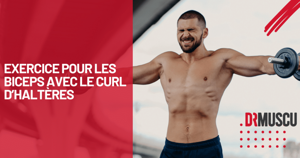 Exercice biceps à la maison avec des haltères — free download