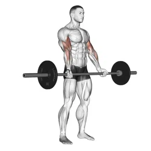 Homme avec une curl barre de musculation et muscles visibles.