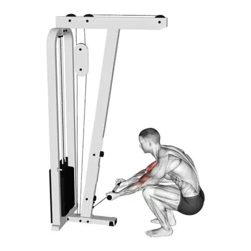 Curl poulie en position squat