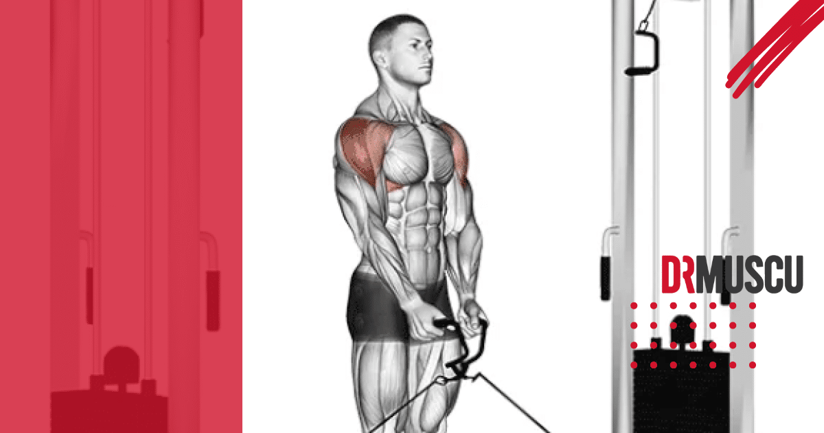 Homme illustré faisant exercice musculation Élévations latérales à la poulie variante