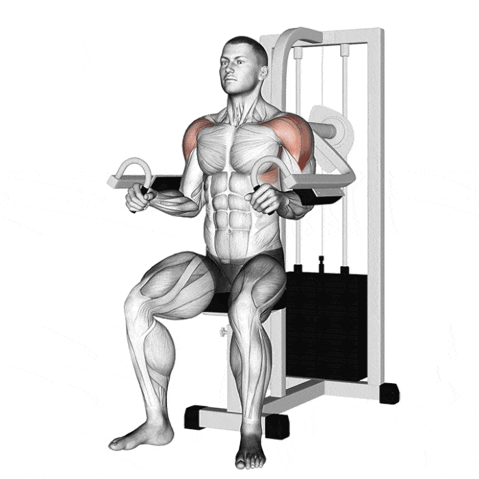 Illustration anatomique de musculation des pecs.