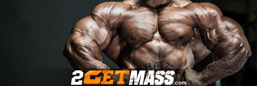 site 2GETmass.to