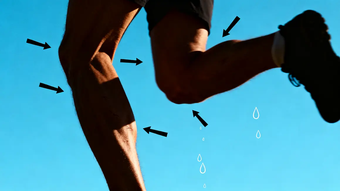 graphique jambes fatigue recuperation